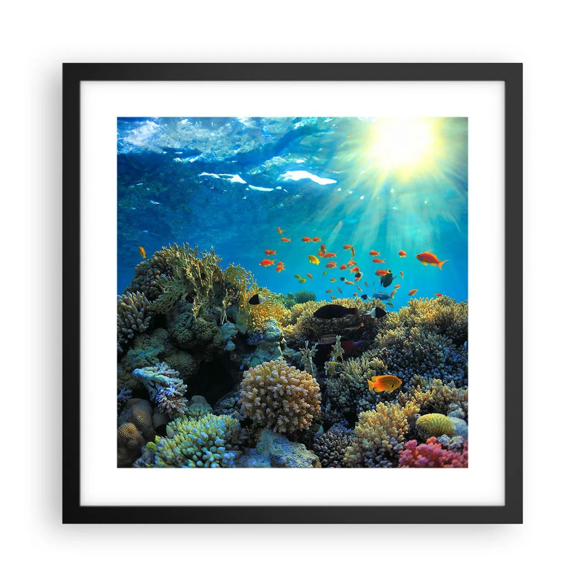 Poster in einem schwarzem Rahmen - Unterwasserschätze - 40x40 cm