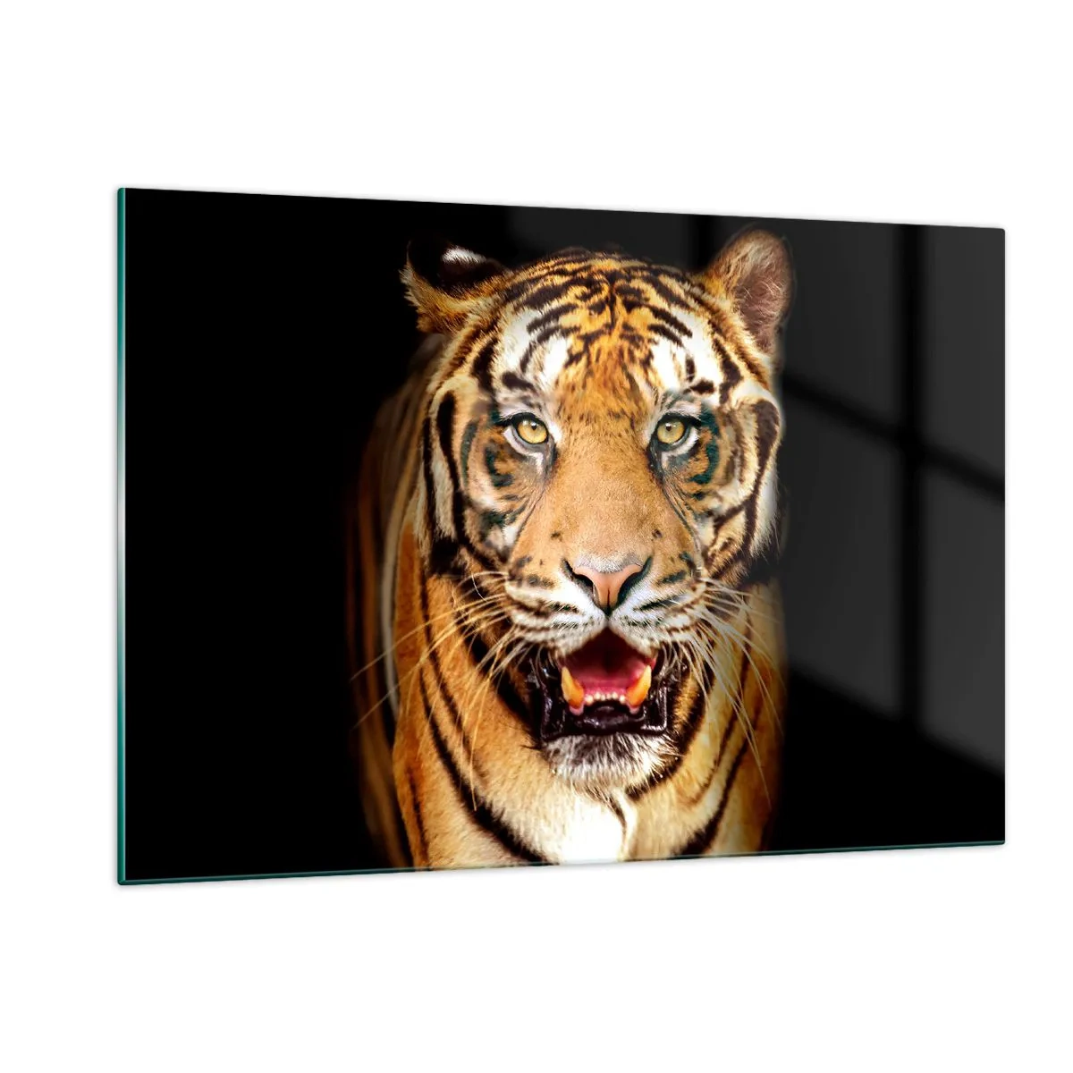 Glasbild - Bild auf glas - Ein Tiger auf dunklem Hintergrund mit intensivem Blick - 120x80cm - Wild im Herzen - Moderne Wanddekoration für Wohnzimmer und Schlafzimmer ARTTOR
