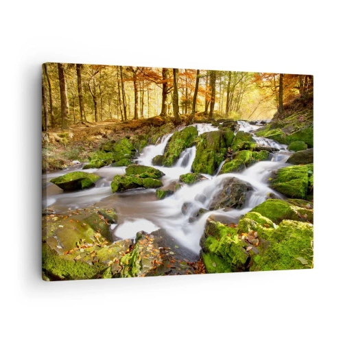 Bild auf Leinwand - Leinwandbild - Eine bewaldete Landschaft mit einem von Moos umgebenen Wasserfall - 70x50cm - Rasch durch den herbstlichen Wald - Moderne Wanddekoration für Wohnzimmer und Schlafzimmer ARTTOR
