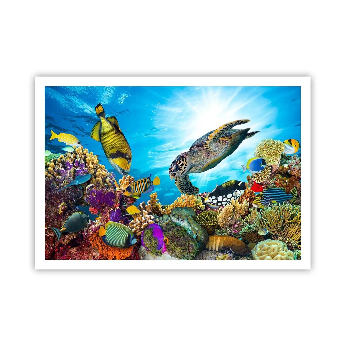 Poster - Unterwasserwelt mit bunten Fischen und einer Schildkröte in den Korallen - 100x70cm - Korallenpromenade - Moderne Wanddekoration für Wohnzimmer und Schlafzimmer ARTTOR