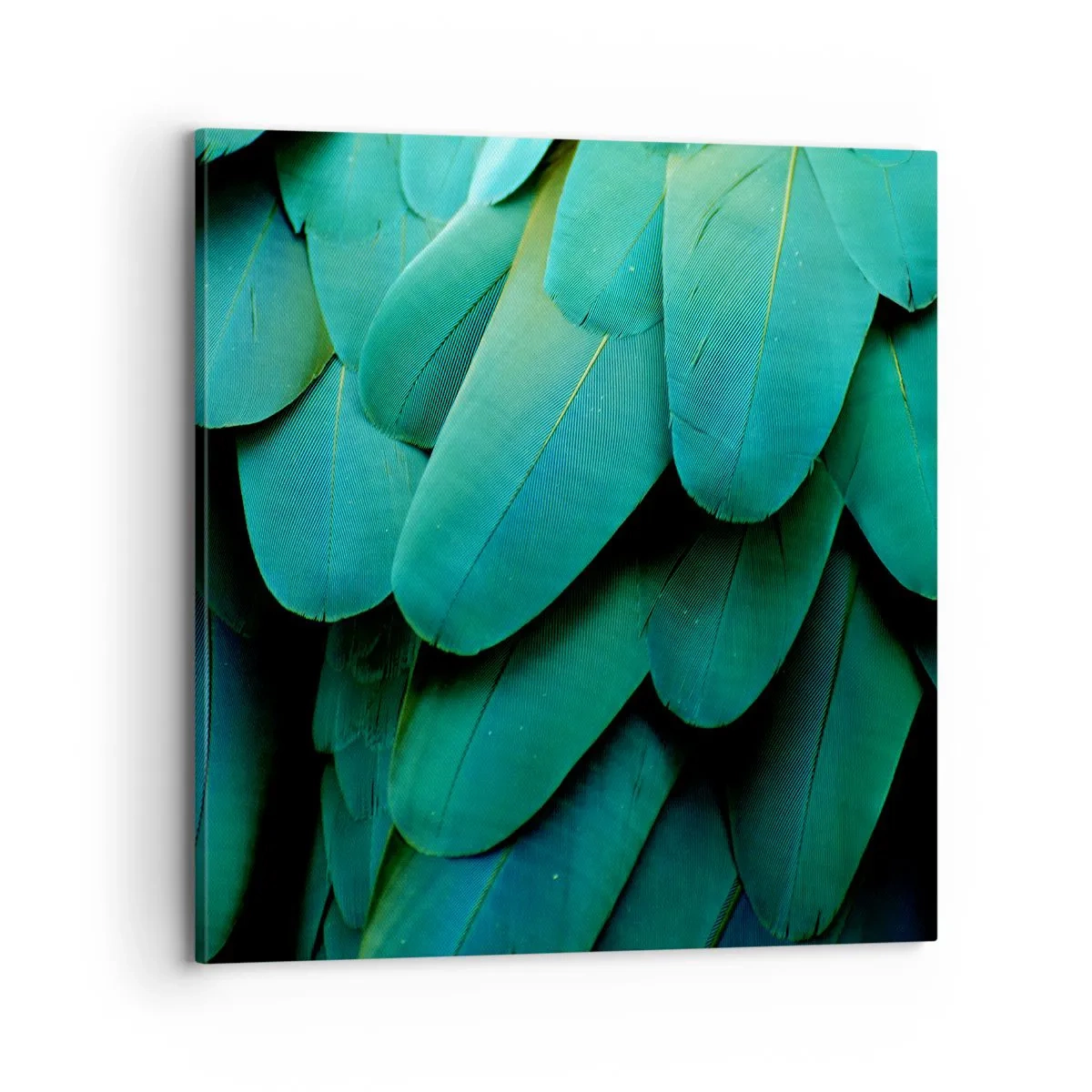 Bild auf Leinwand - Leinwandbild - Papageienartige Präzision - 70x70 cm