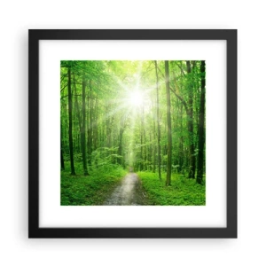 Poster in einem schwarzem Rahmen - Die grüne Kathedrale - 30x30 cm