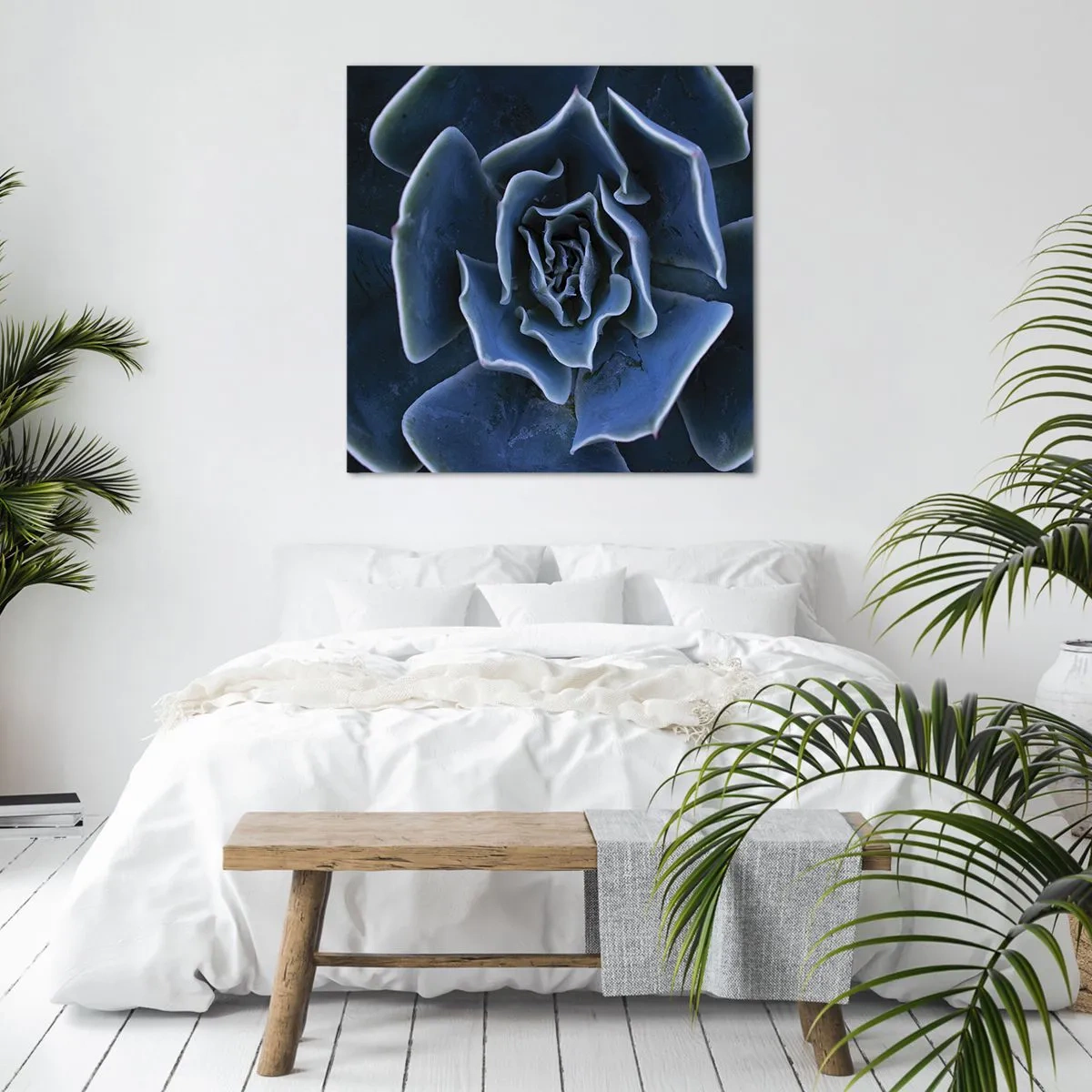 Bild auf Leinwand - Leinwandbild - Wüstenblume - 70x70 cm