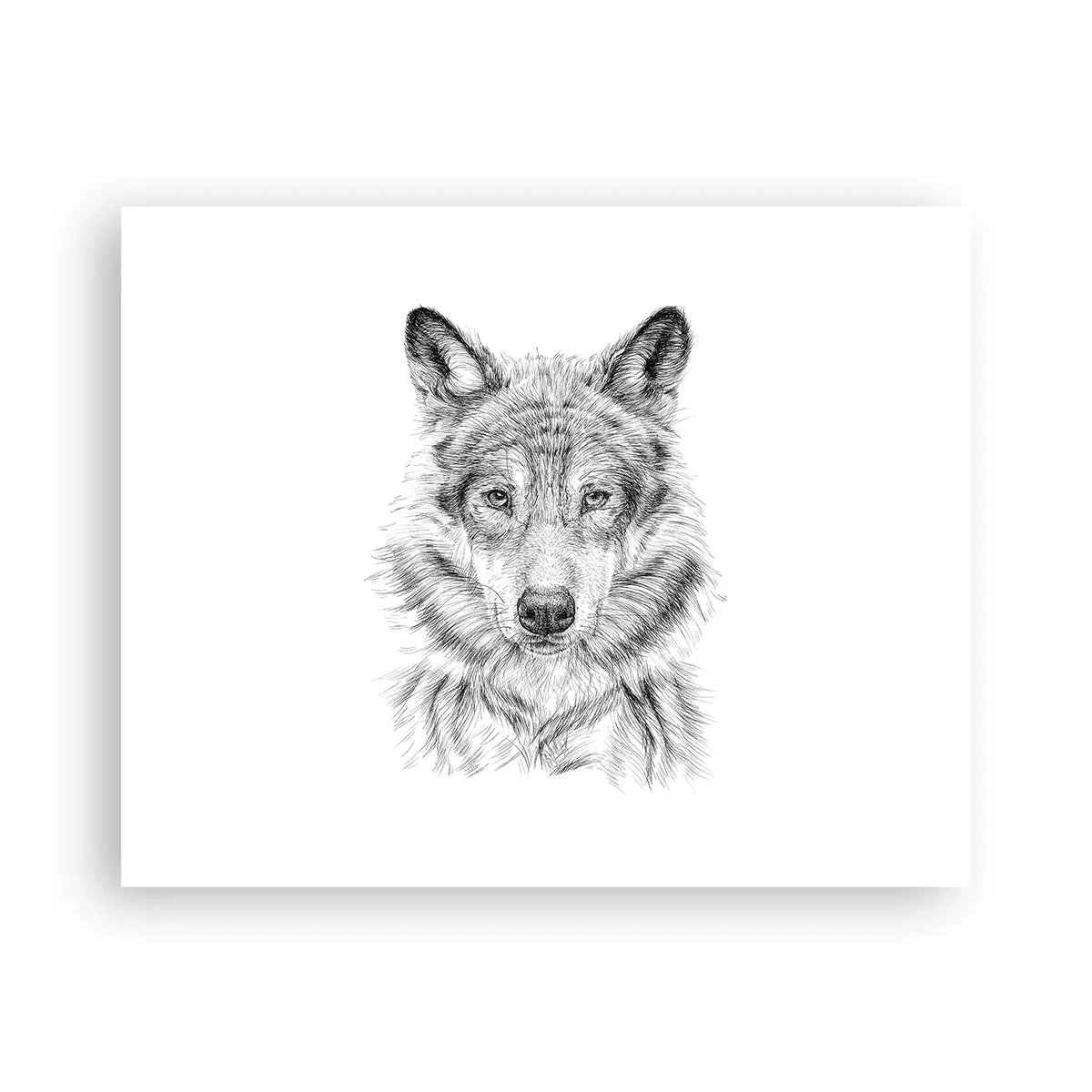 Poster - Ein geborener Anführer - 50x40 cm