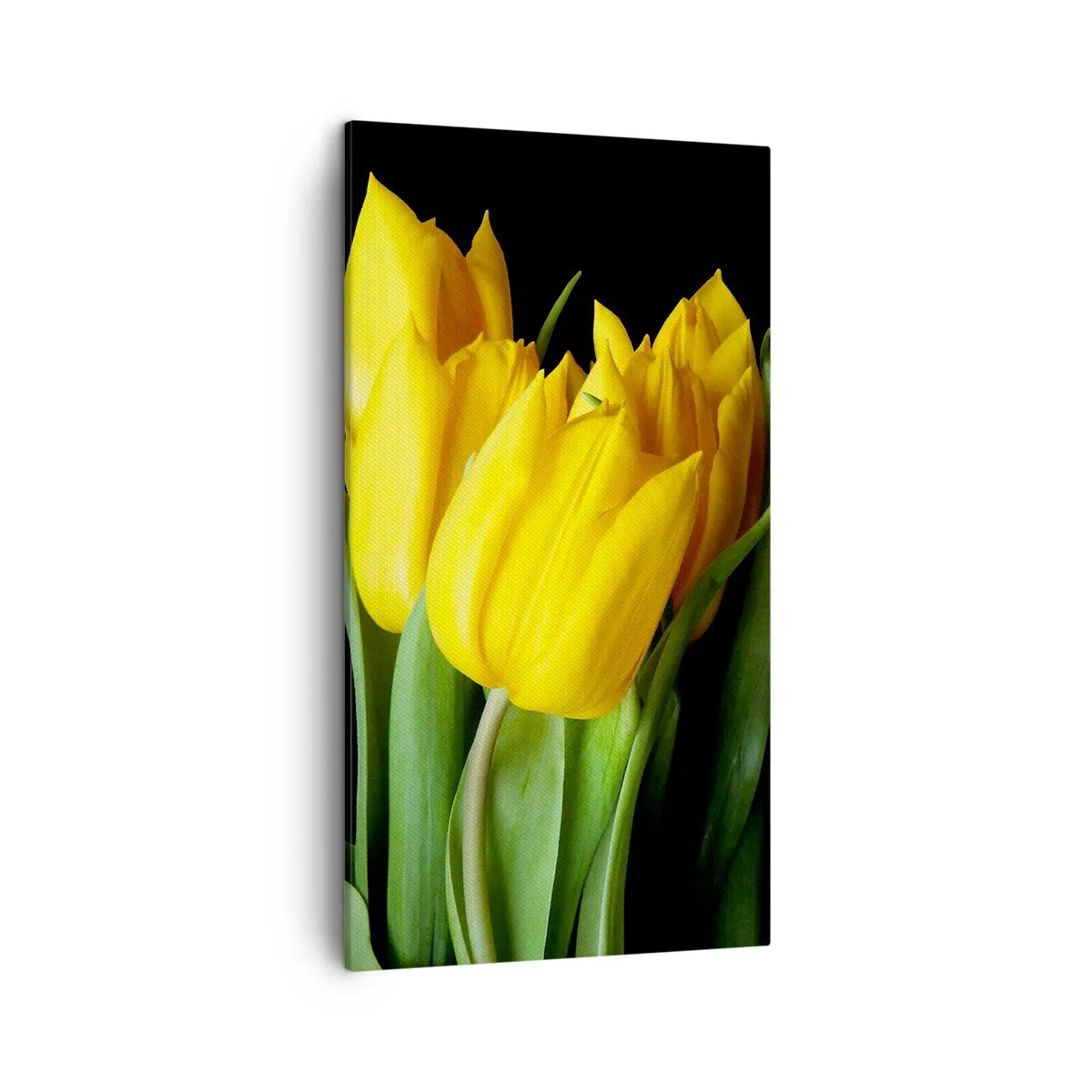 Bild auf Leinwand - Leinwandbild - Aus klarer Sonne entstanden - 45x80 cm