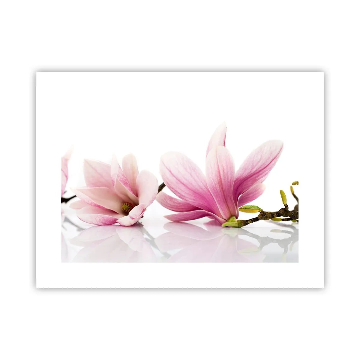 Poster - Zart wie ein Frühlingswind - 40x30 cm