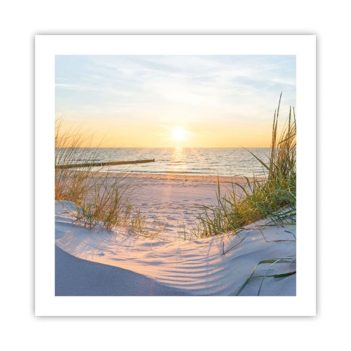 Poster - Das Rauschen des Meeres, der Gesang der Vögel, ein wilder Strand im Gras ... - 50x50 cm