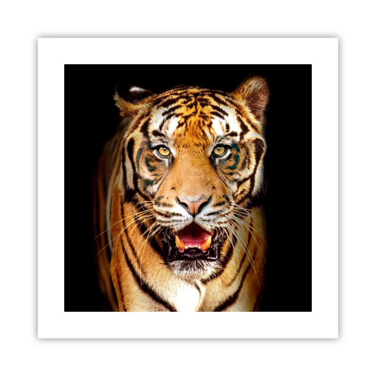 Poster - Wild im Herzen - 40x40 cm