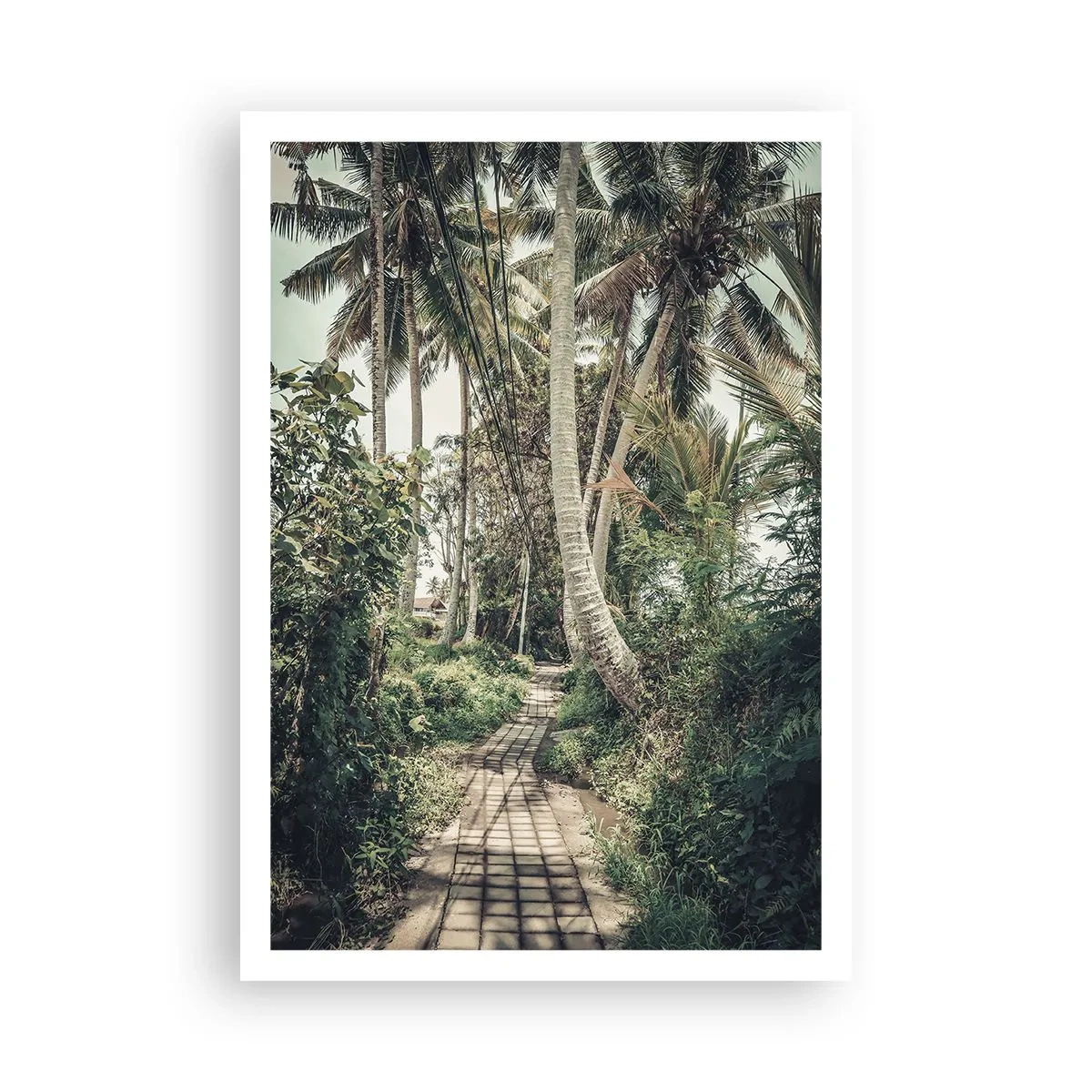 Poster - Palmenallee - 70x100 cm