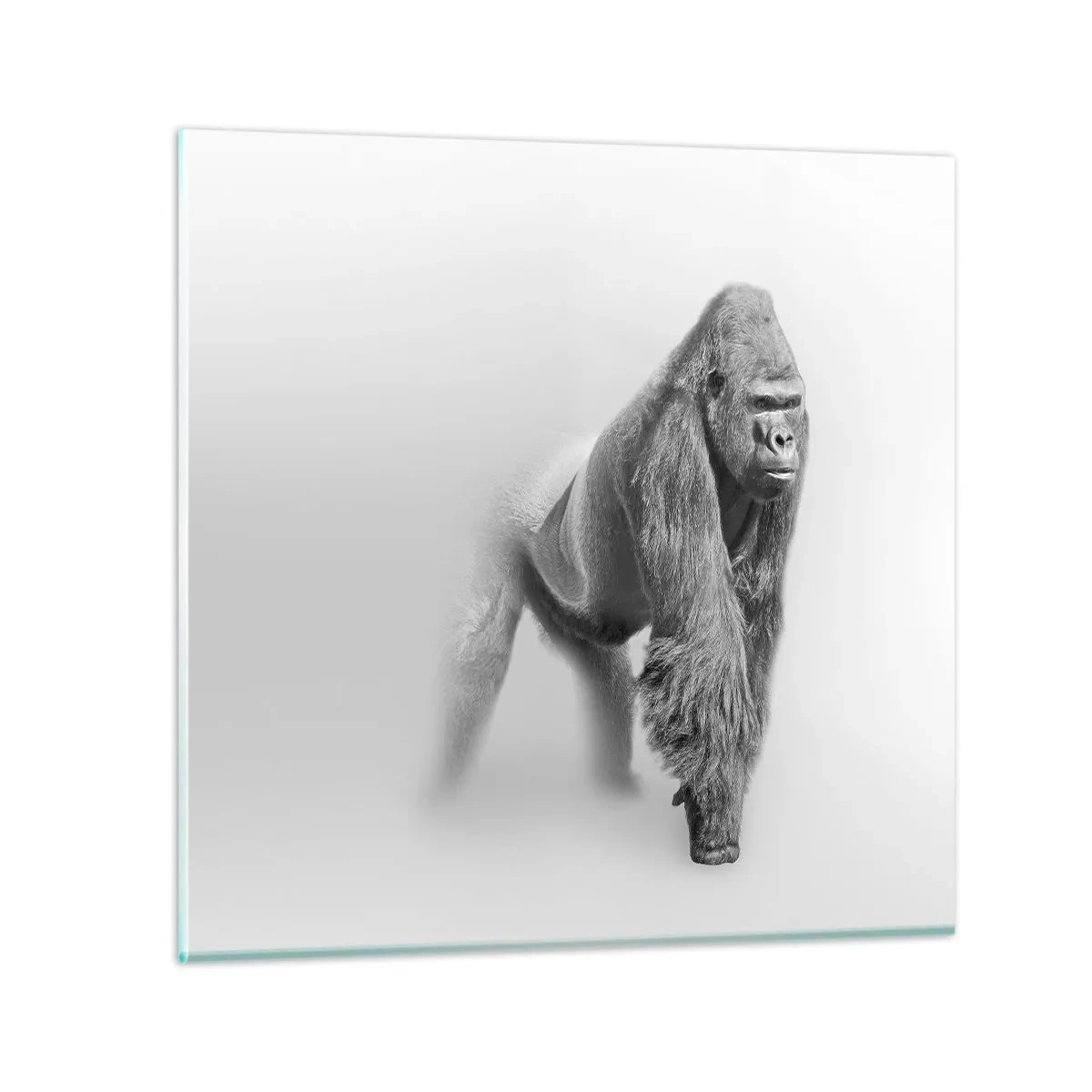 Glasbild - Bild auf glas - Zuversichtlich in seiner Stärke - 40x40 cm