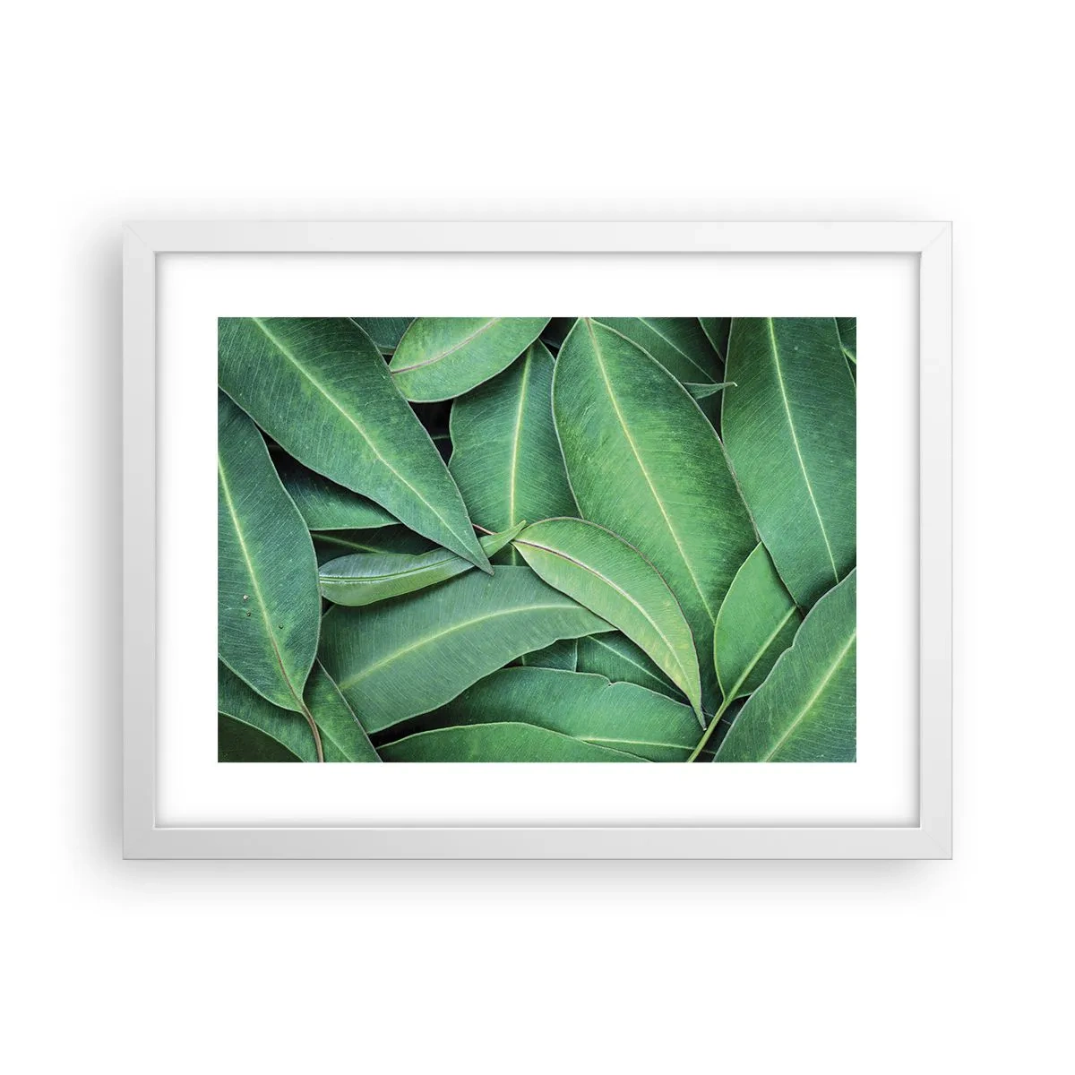 Poster in einem weißen Rahmen - Saftig und frisch - 40x30 cm