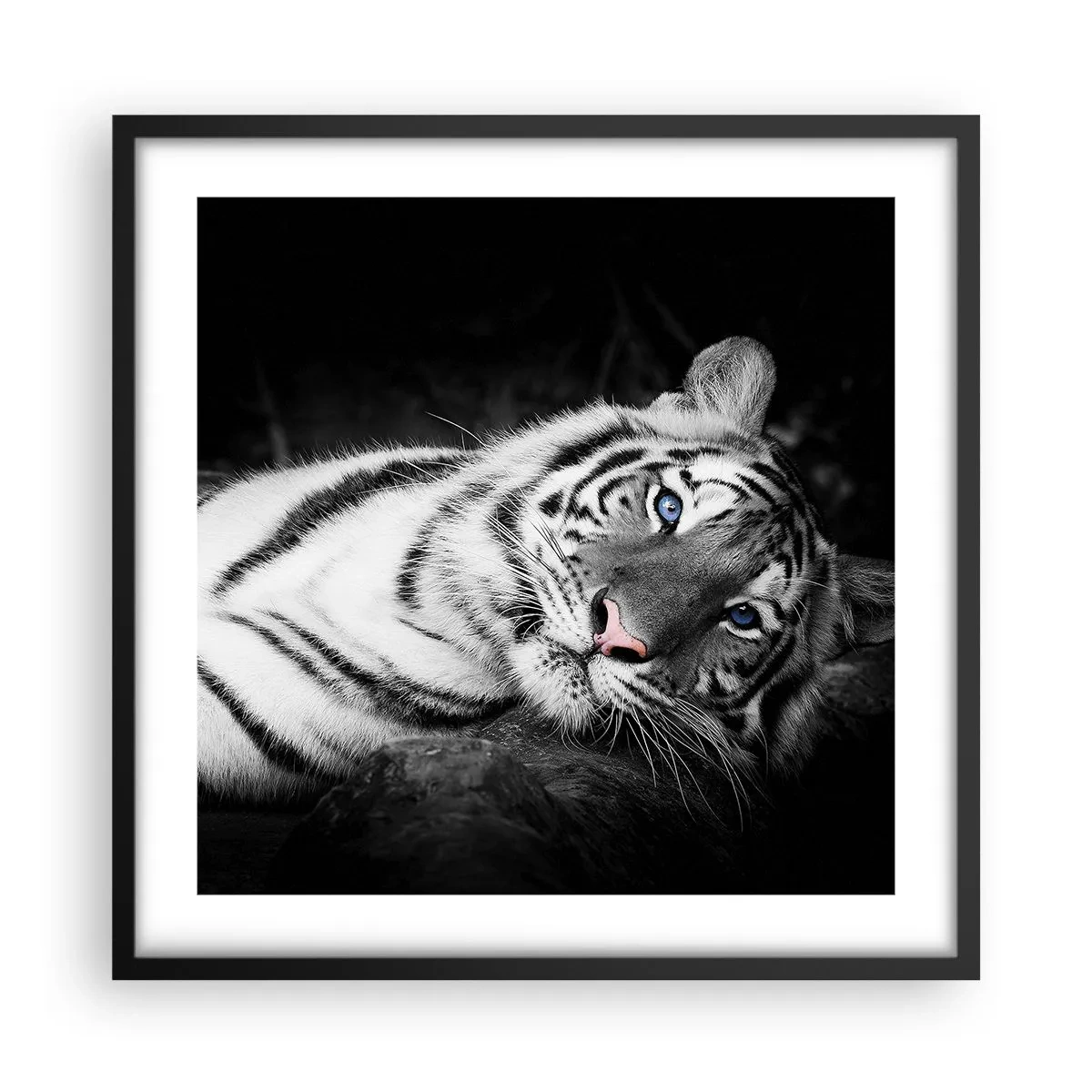 Poster in einem schwarzem Rahmen - Wildnis und Frieden - 50x50 cm