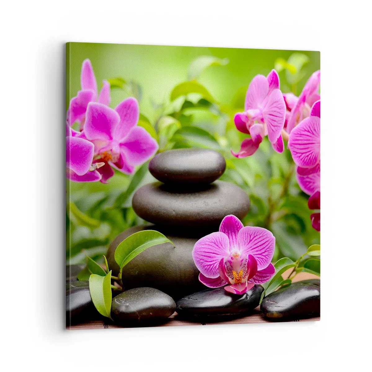 Bild auf Leinwand - Leinwandbild - Die Pyramide des Friedens - 60x60 cm