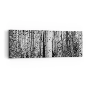 Bild auf Leinwand - Leinwandbild - Birkenkolonnade - 90x30 cm