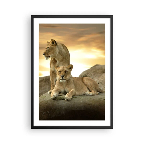 Poster in einem schwarzem Rahmen - Zwei Löwinnen vor der untergehenden Sonne - 50x70cm - Königliche Majestät - Moderne Wanddekoration für Wohnzimmer und Schlafzimmer ARTTOR