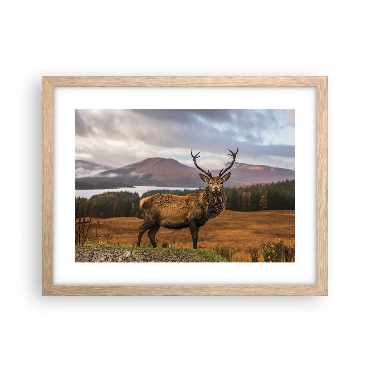 Poster in einem Rahmen aus heller Eiche - Die Majestät der Natur - 40x30 cm