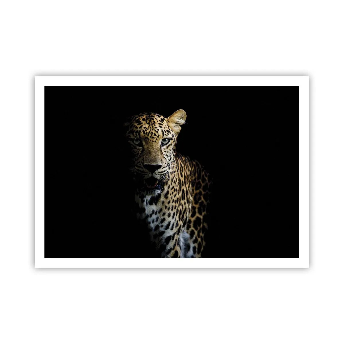Poster - Ein Leopard auf dunklem Hintergrund mit intensivem Blick - 100x70cm - Dunkle Schönheit - Moderne Wanddekoration für Wohnzimmer und Schlafzimmer ARTTOR