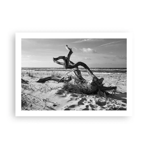 Poster - Meeresskulptur - 70x50 cm