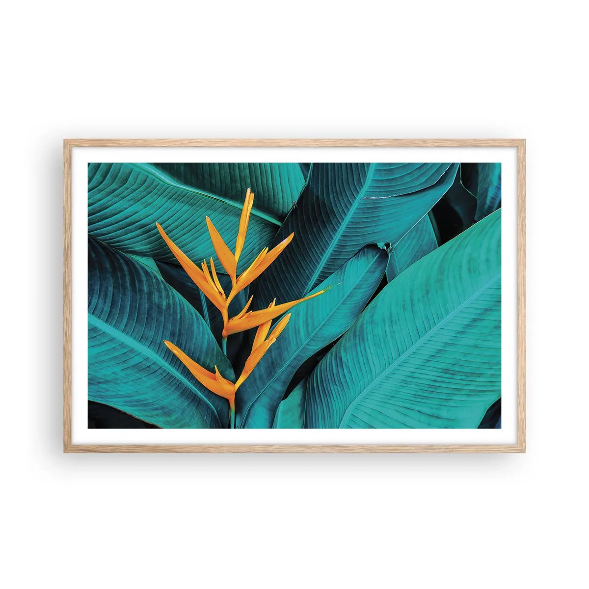 Poster in einem Rahmen aus heller Eiche - Eden-Blume - 91x61 cm