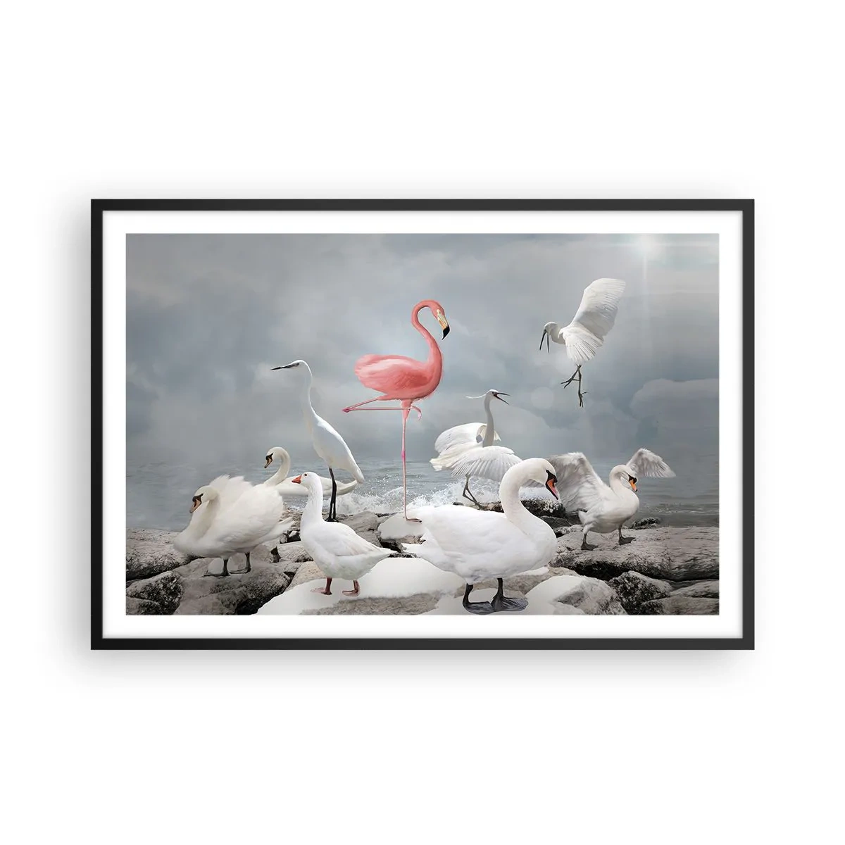 Poster in einem schwarzem Rahmen - Wie kam ich hier hin? - 91x61 cm