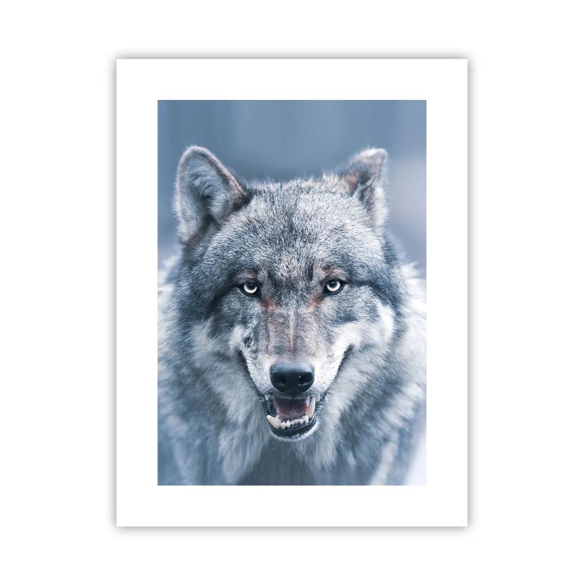 Poster - Werden Sie die Herausforderung annehmen? - 30x40 cm