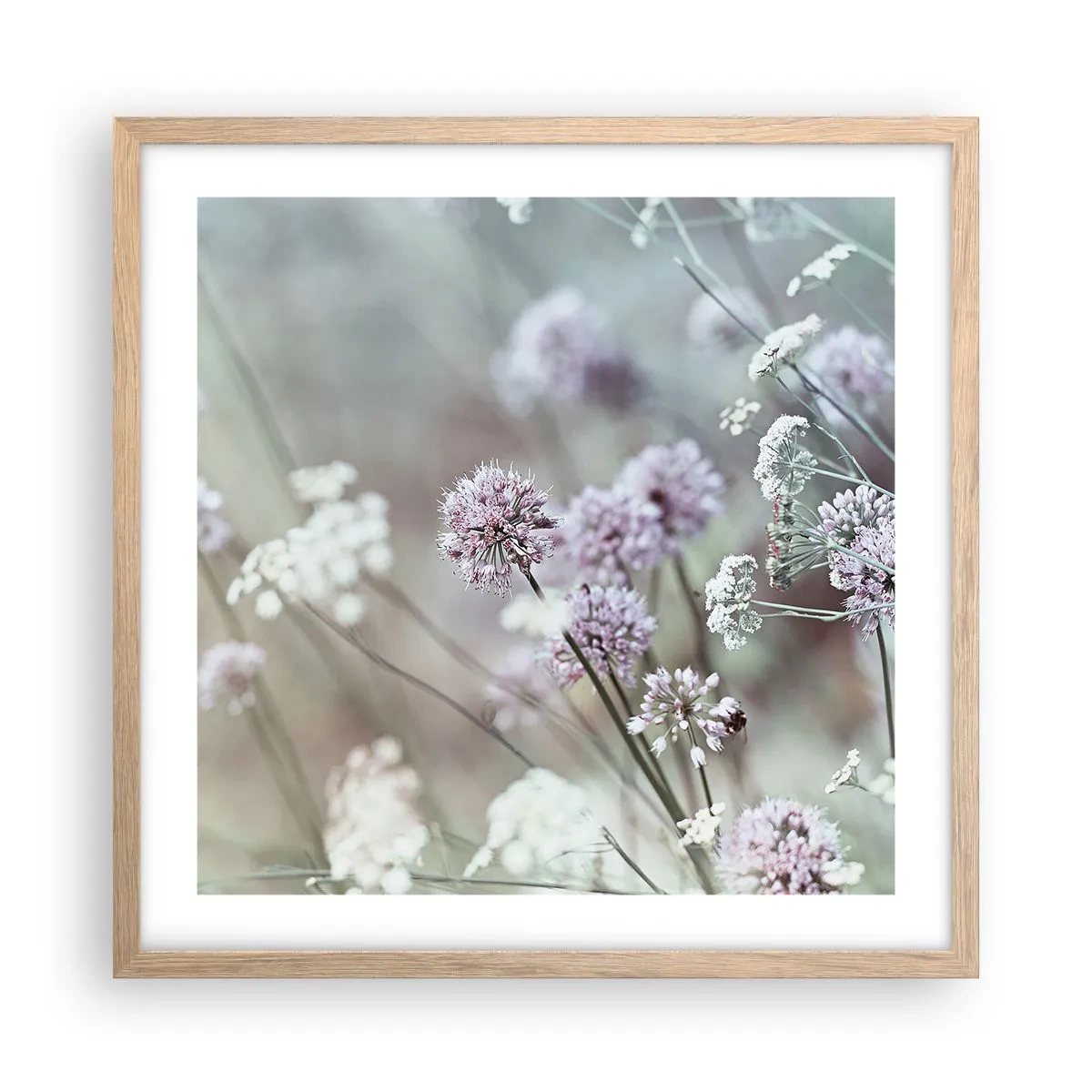 Poster in einem Rahmen aus heller Eiche - Süße filigrane Kräuter - 50x50 cm