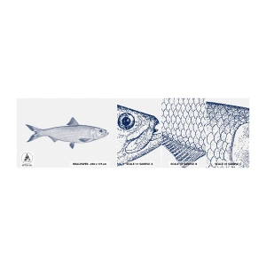 Fototapeten Muster Selbstklebend Deluxe Sticker - Grüße aus den nördlichen Meeren - Fisch, Meerestier, Küstenstil - 100x30 cm