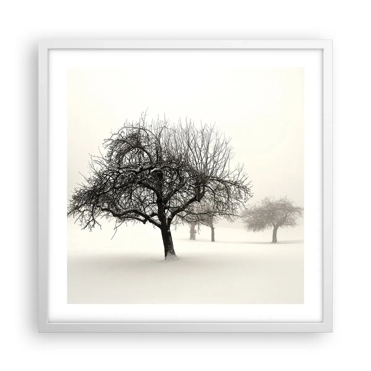 Poster in einem weißen Rahmen - Winterschlaf - 50x50 cm