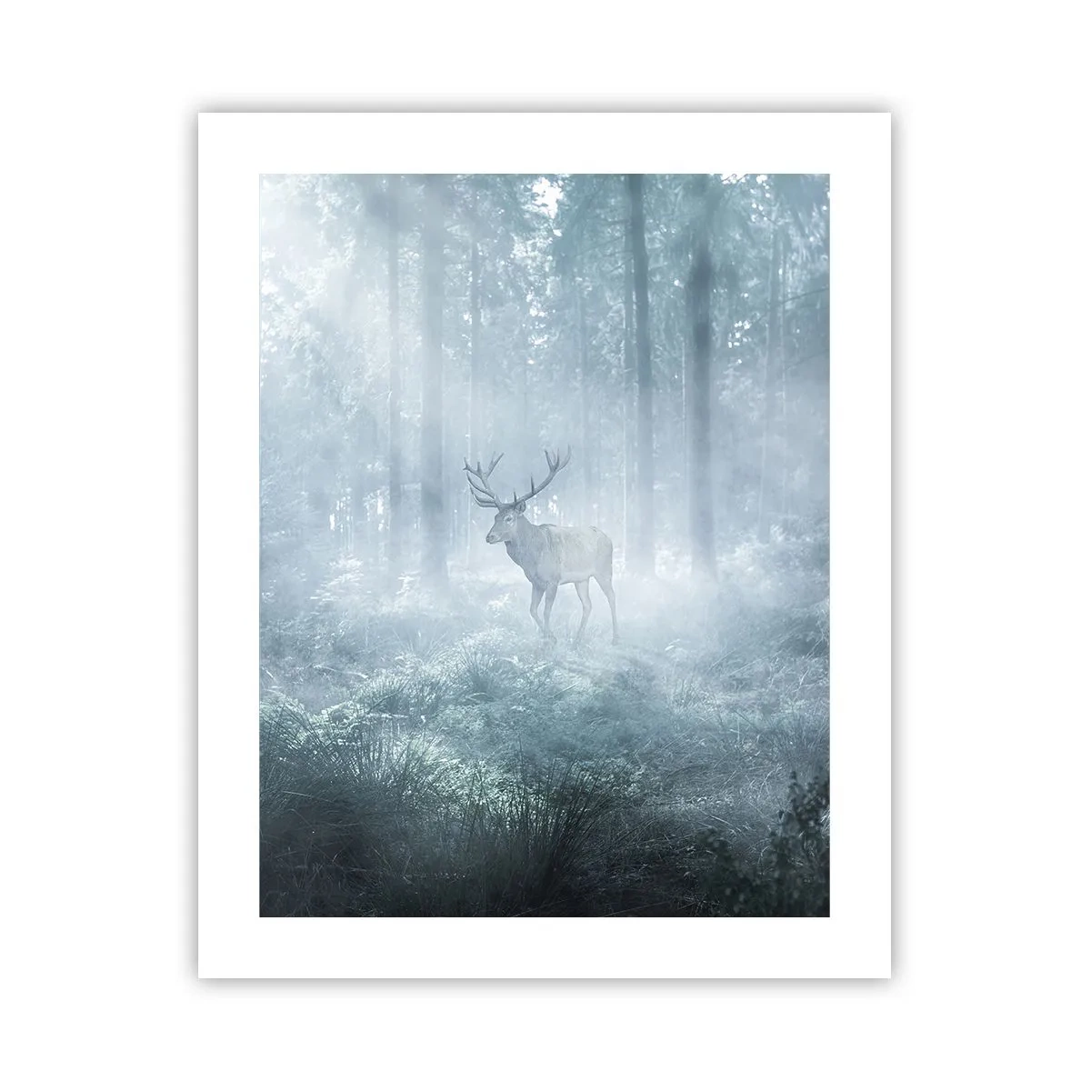 Poster - Morgenvisite auf dem Grundstück - 40x50 cm