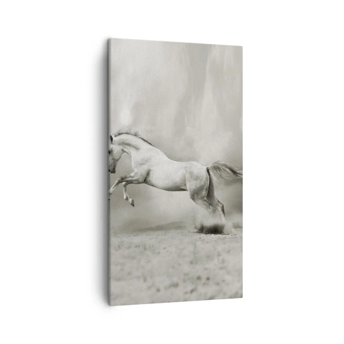 Bild auf Leinwand - Leinwandbild - Zwischen Aufwachen und Schlafen - 45x80 cm