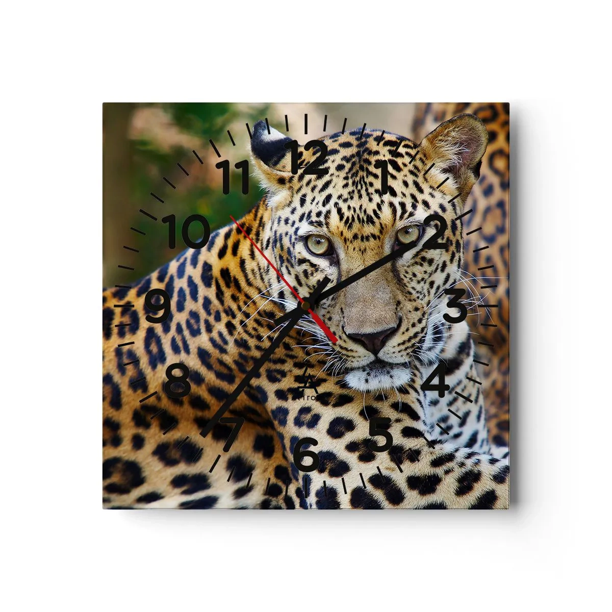 Wanduhr - Glasuhr - Wild und ruhig - 40x40 cm