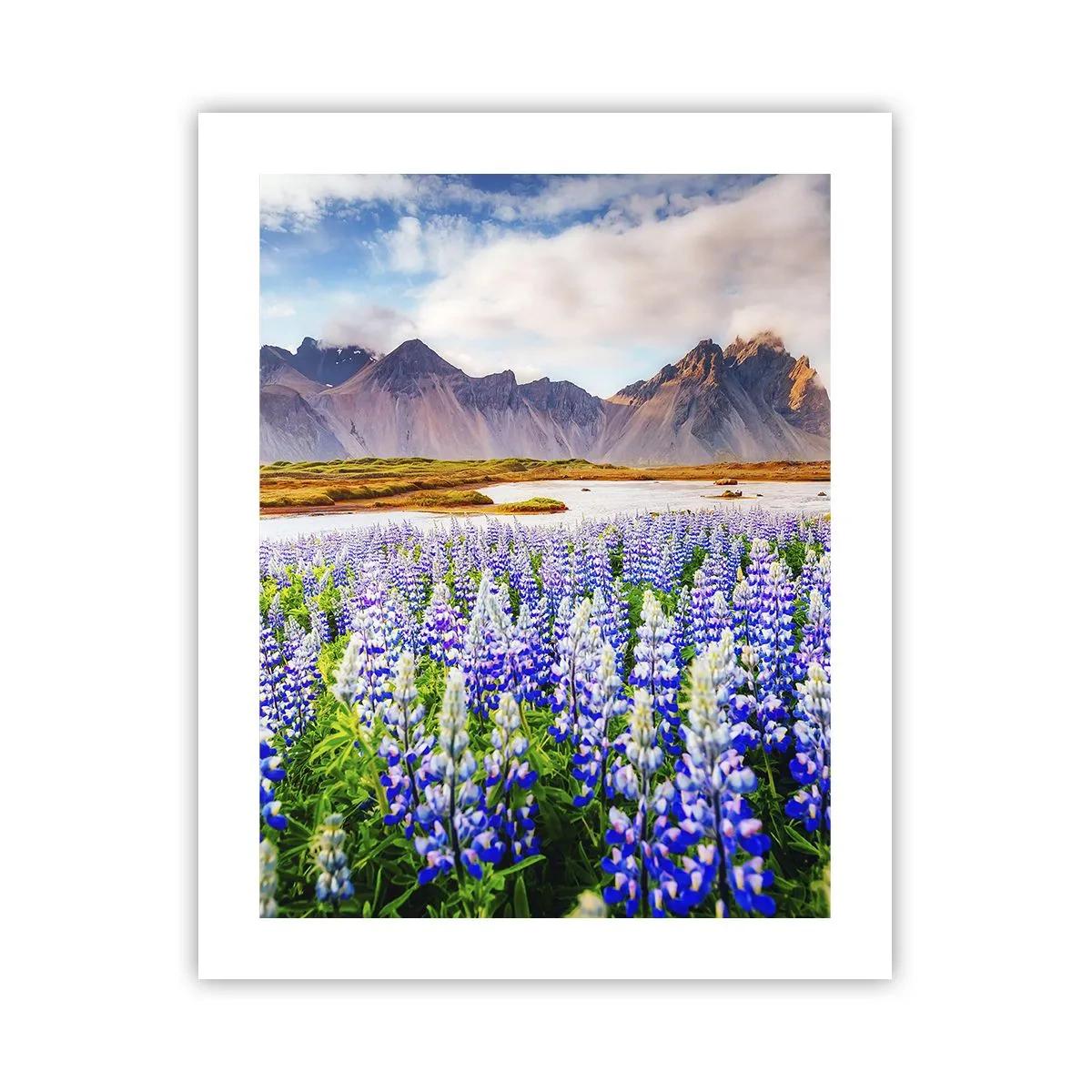 Poster - Kraft und Strenge neben Sanftmut - 40x50 cm