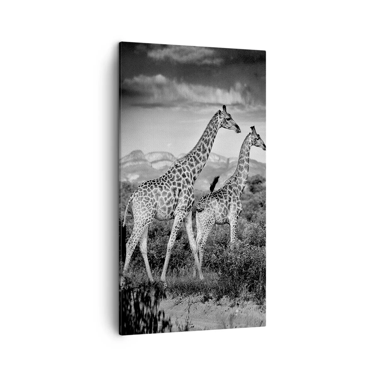 Bild auf Leinwand - Leinwandbild - Hohe Sphären in Afrika - 45x80 cm