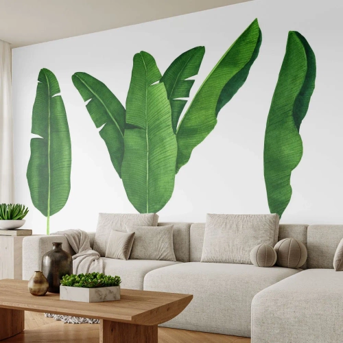 Selbstklebende Fototapete Deluxe Sticker - Grüne Symmetrie - Bananenblatt, Tropisch, Botanischer Stil - 150x105 cm