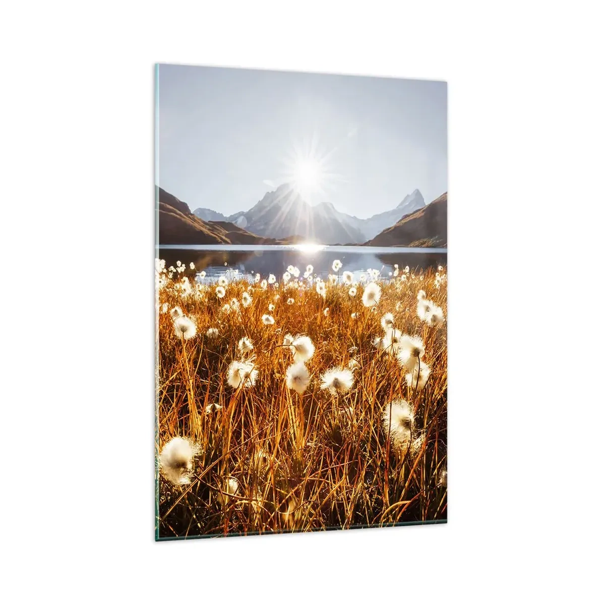 Glasbild - Bild auf glas - Steinhärte, Grasweichheit - 80x120 cm