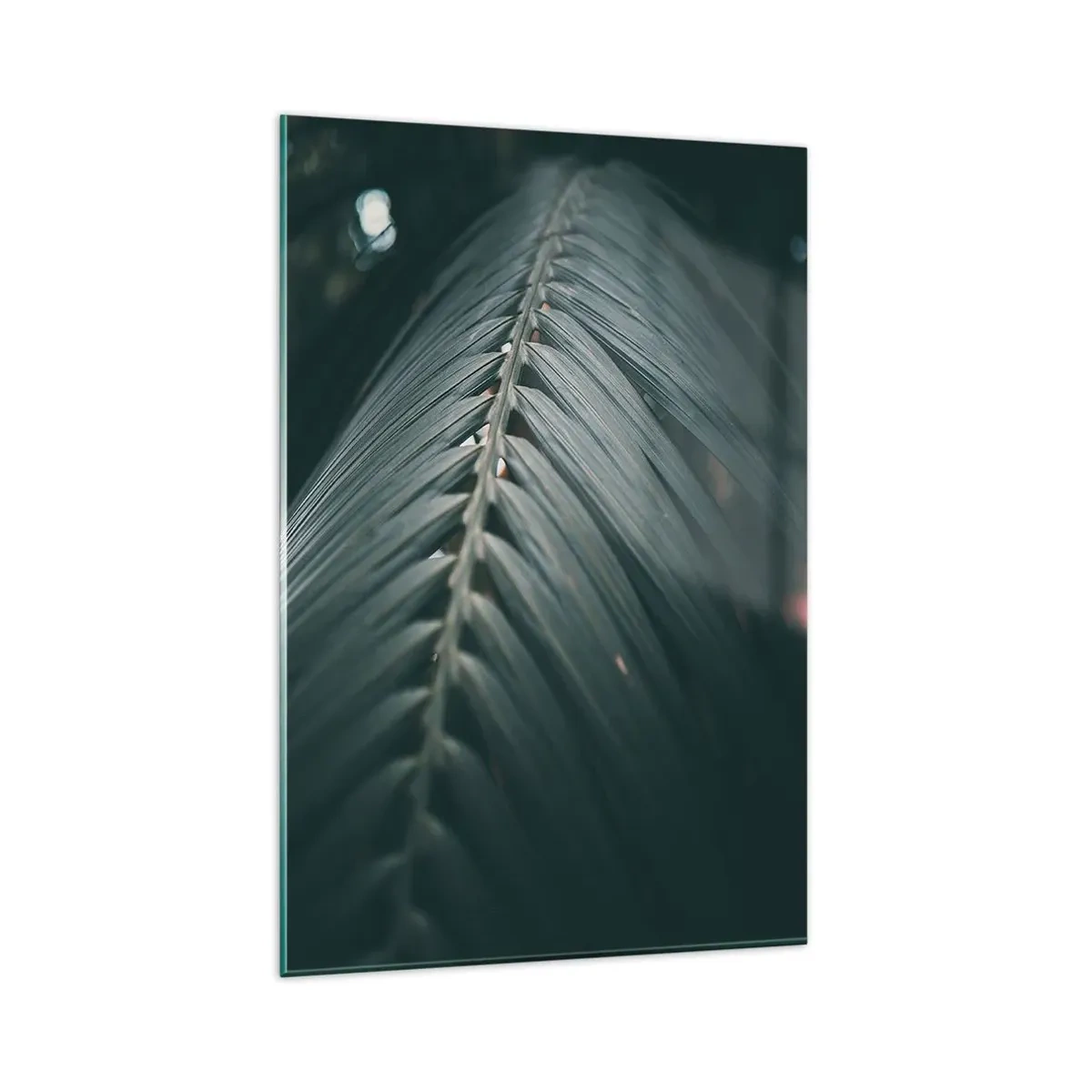 Glasbild - Bild auf glas - Nahaufnahme eines dunkel getönten Palmblattdetails - 80x120cm - Die Präzision der Natur - Moderne Wanddekoration für Wohnzimmer und Schlafzimmer ARTTOR