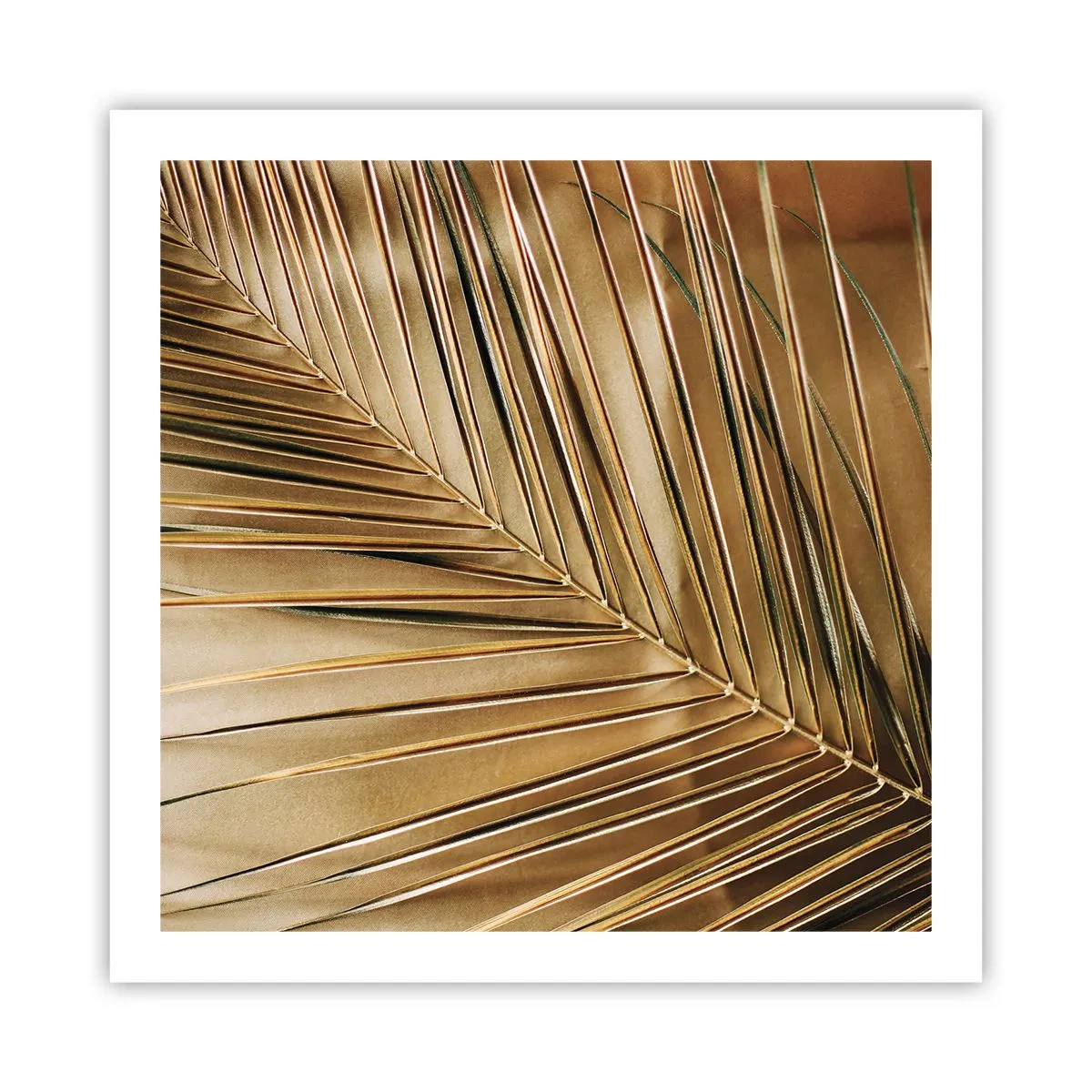 Poster - Natürliche Kolonnade - 60x60 cm