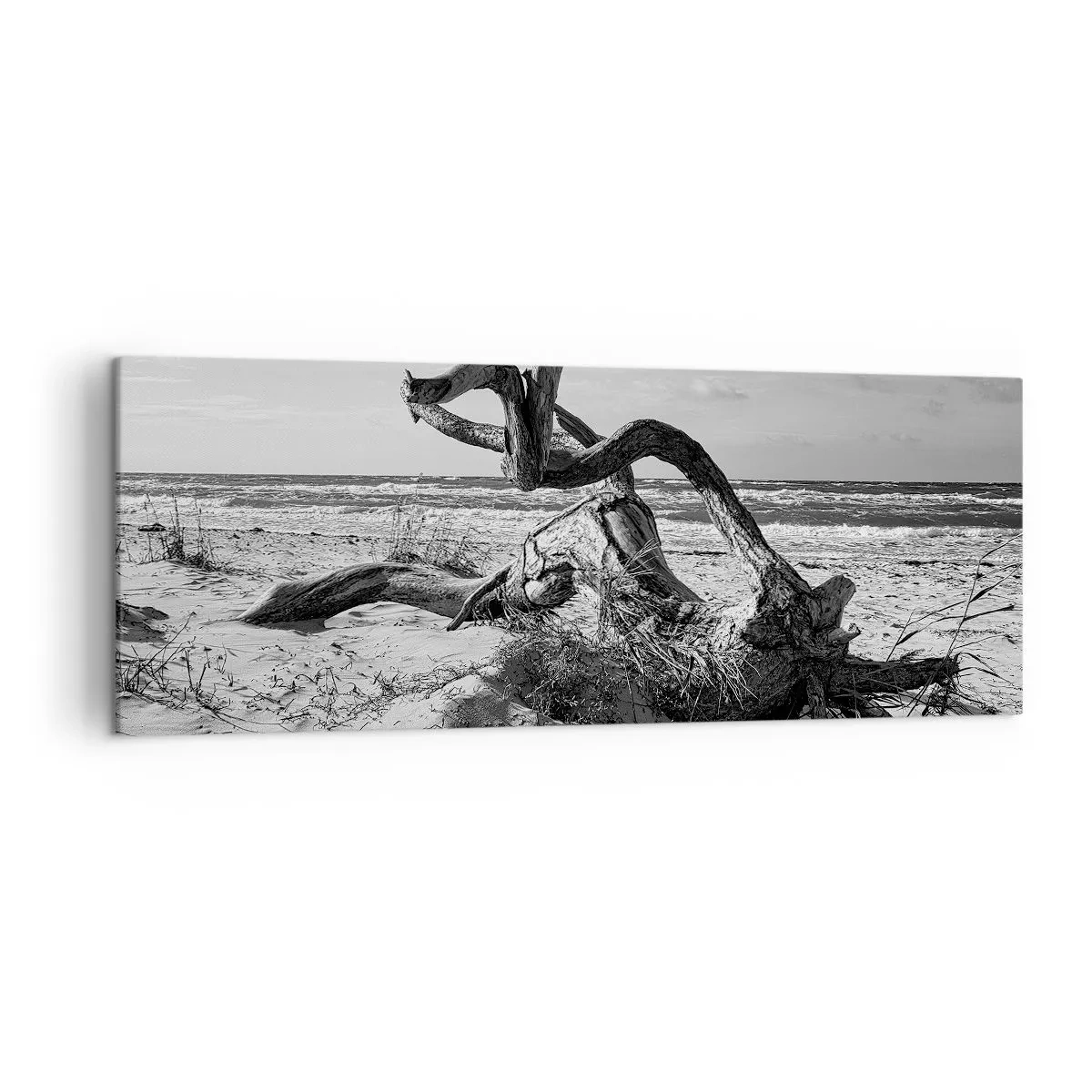 Bild auf Leinwand - Leinwandbild - Schwarz-weiße Landschaft mit einem toten Baum am Strand - 140x50cm - Meeresskulptur - Moderne Wanddekoration für Wohnzimmer und Schlafzimmer ARTTOR