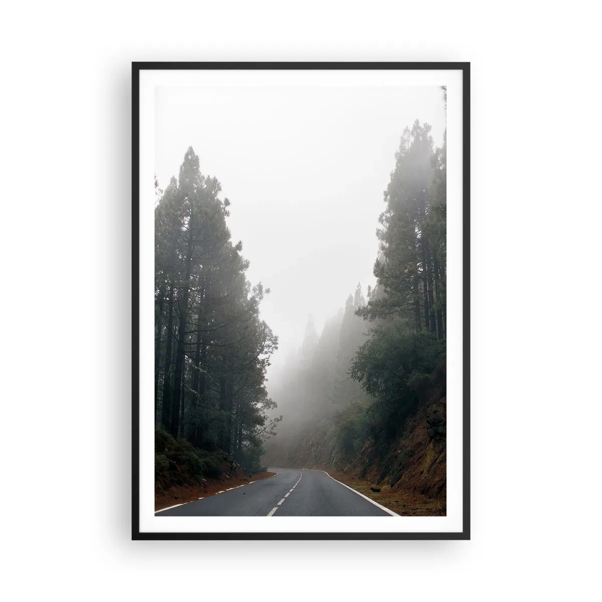 Poster in einem schwarzem Rahmen - Eine Geschichte von einem magischen Wald - 70x100 cm