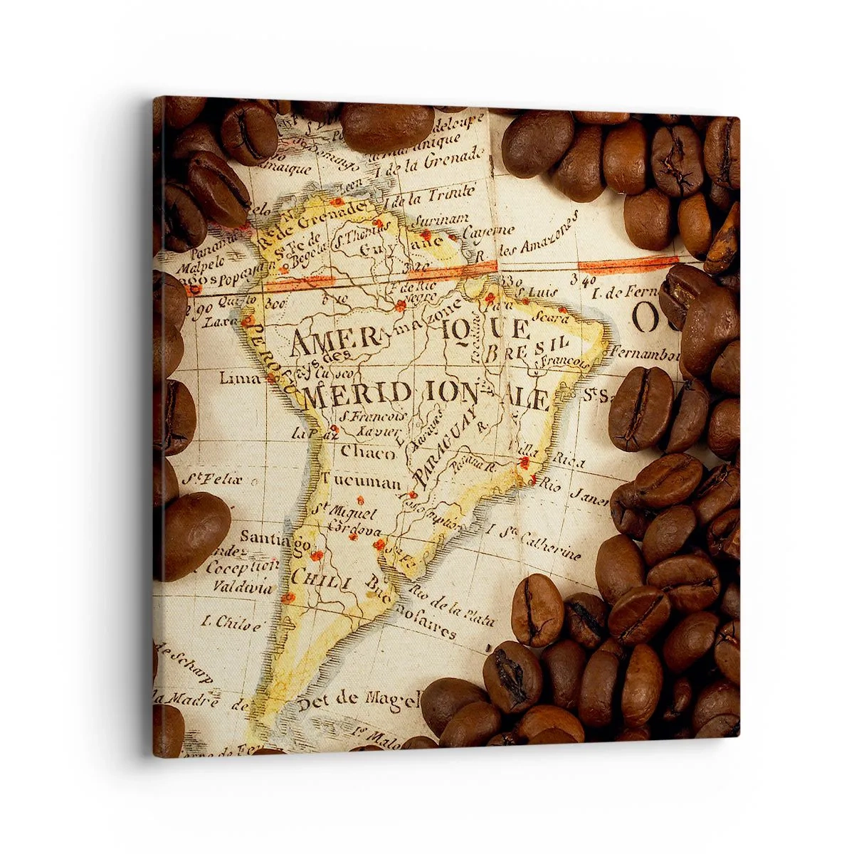 Bild auf Leinwand - Leinwandbild - Woher kommt der beste Kaffee? - 40x40 cm