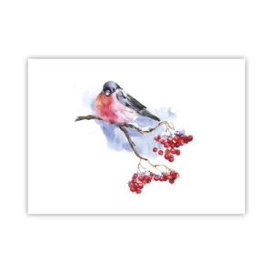 Poster - Winter in Farbe - 70x50 cm