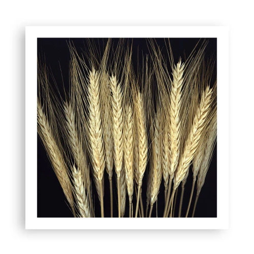 Poster - Rustikale Magie - 60x60 cm