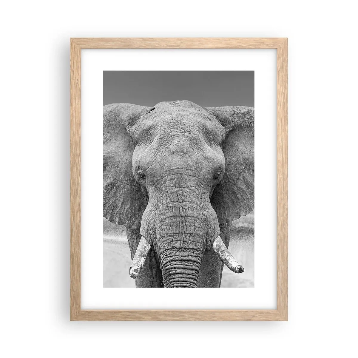 Poster in einem Rahmen aus heller Eiche - Willkommen in meiner Welt - 30x40 cm