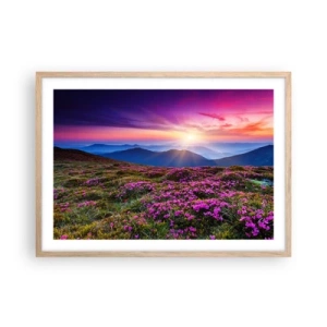 Poster in einem Rahmen aus heller Eiche - Kräuter dufteten nach frischen Trauben von den Feldern - 70x50 cm