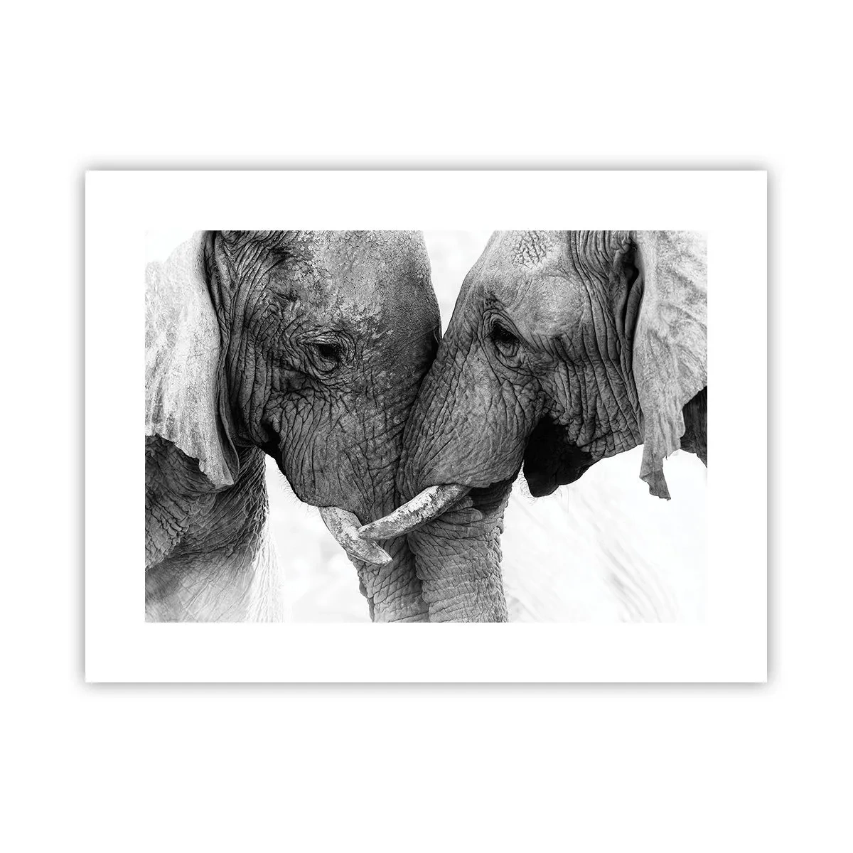 Poster - Herzliches Geständnis - 40x30 cm