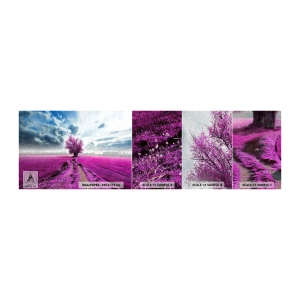 Fototapeten Muster Premium Sand - Heide - Wildnis - Landschaft, Heidekraut, Natur - 100x30 cm