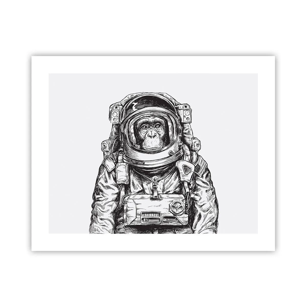Poster - Alternative Evolution - 50x40 cm