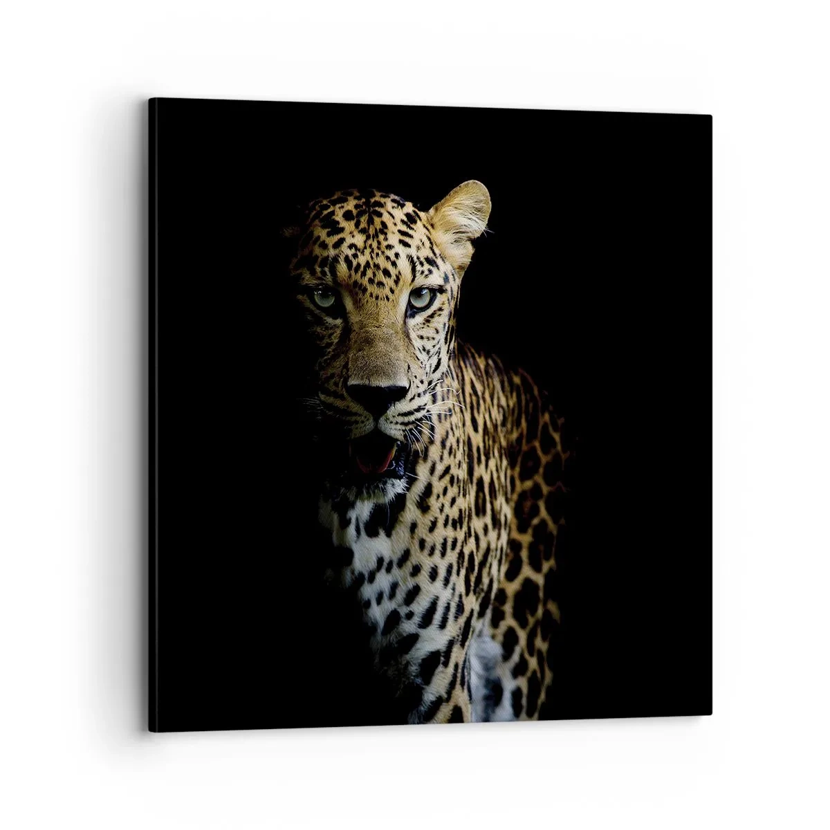 Bild auf Leinwand - Leinwandbild - Dunkle Schönheit - 70x70 cm