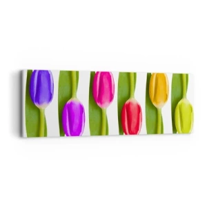 Bild auf Leinwand - Leinwandbild - Regenbogenkomposition - 90x30 cm