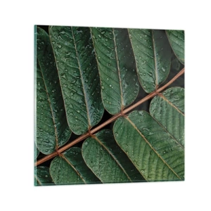 Glasbild - Bild auf glas - Im grünen Rhythmus - 50x50 cm